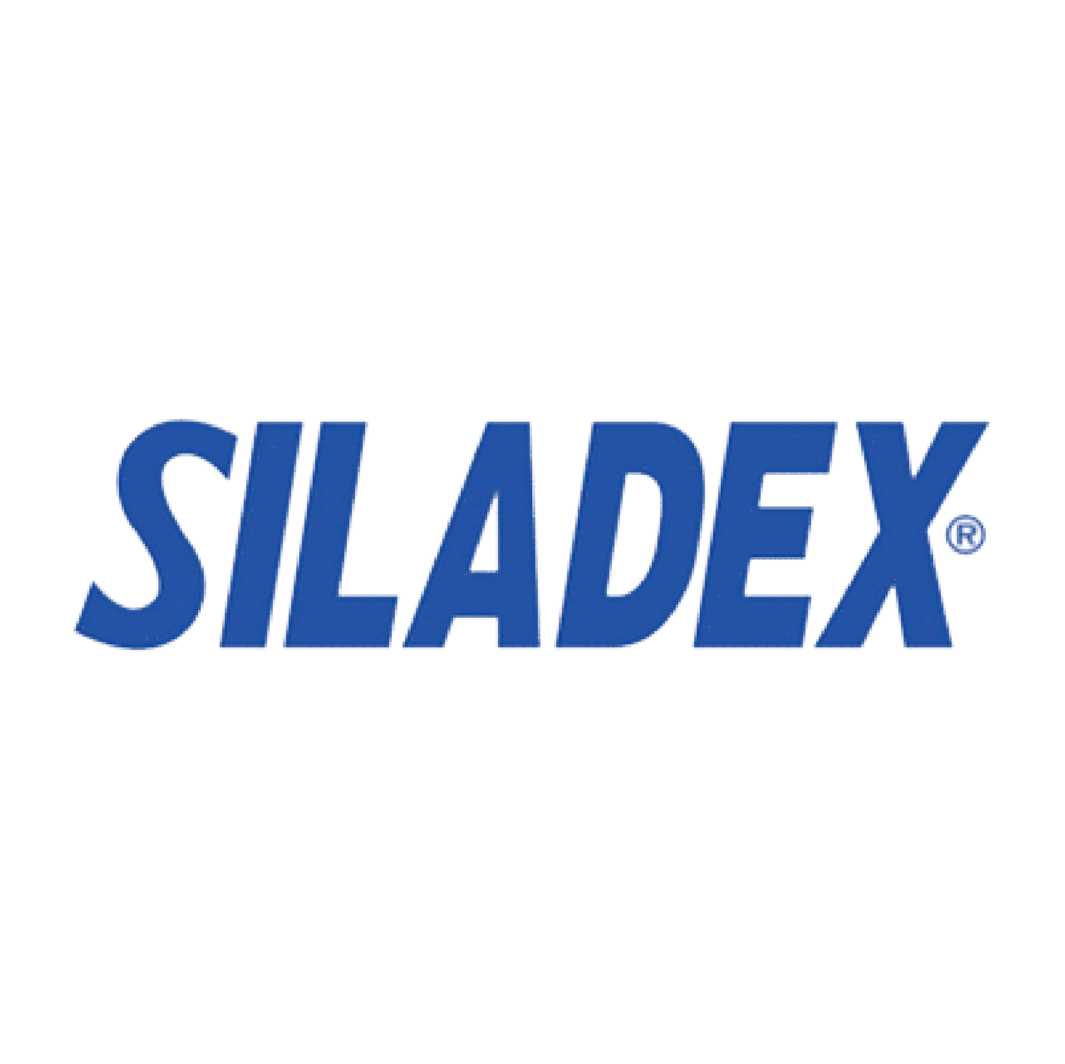 resize logo client_siladex